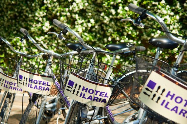 Hotel Ilaria & Residenza dell'Alba (Lucca)